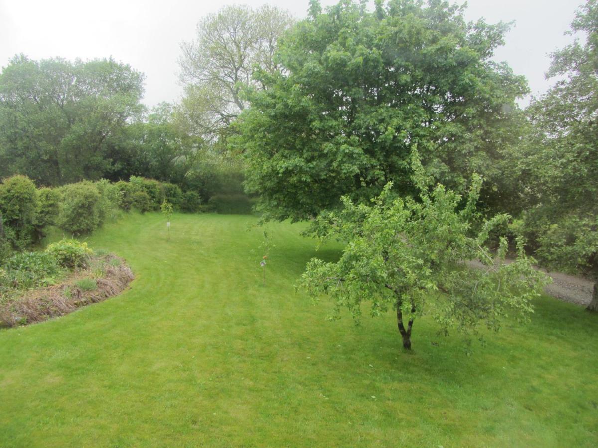 Llys Onnen - North Wales Holiday Cottage Mold Zewnętrze zdjęcie